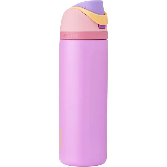 Owala Disney Princess FreeSip Insulated Stainless Steel Water Bottle with Straw